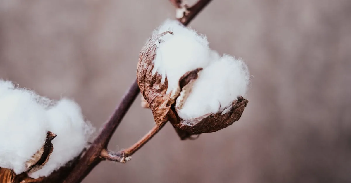 découvrez notre collection de coton de haute qualité, idéal pour des vêtements confortables et durables.