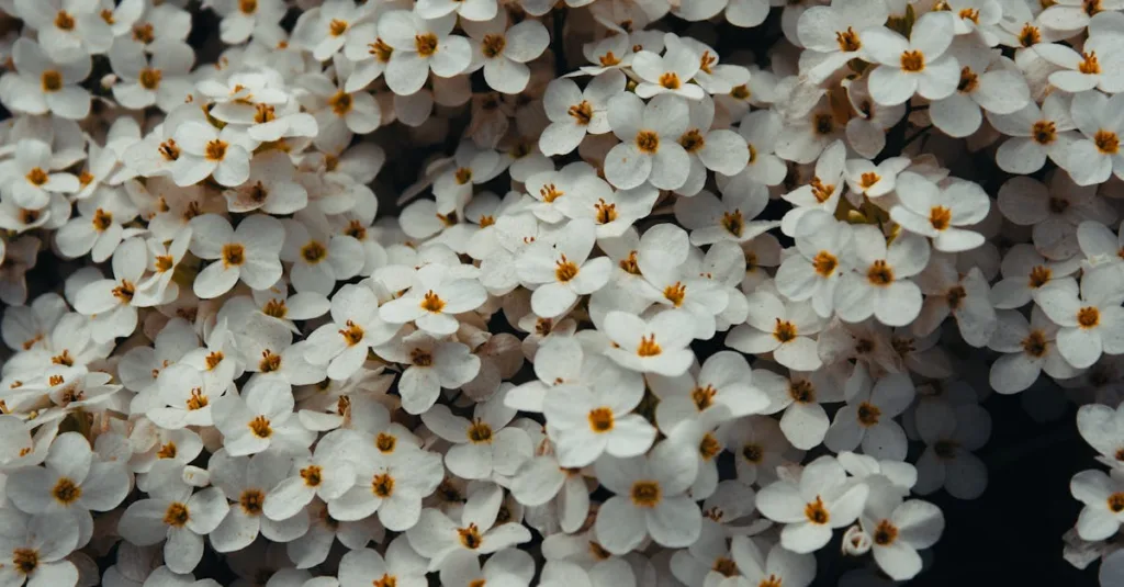 découvrez tout sur le coton : ses origines, ses utilisations variées, et ses avantages pour la mode et le confort au quotidien.