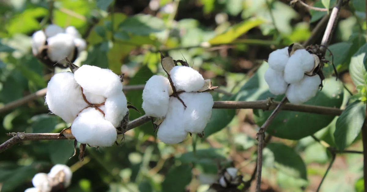 découvrez comment éviter l'irritation causée par le coton et profitez d'un confort optimal avec des astuces simples et efficaces.